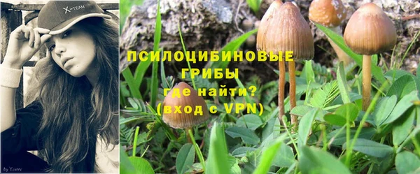 стаф Алексеевка