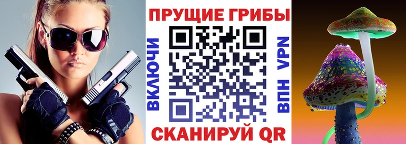 Псилоцибиновые грибы мухоморы  купить закладку  Нолинск 